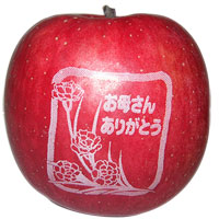 apple_photo1
