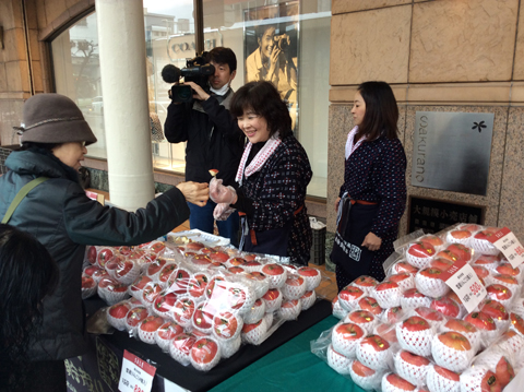 青森雪貯蔵りんご試食販売会
