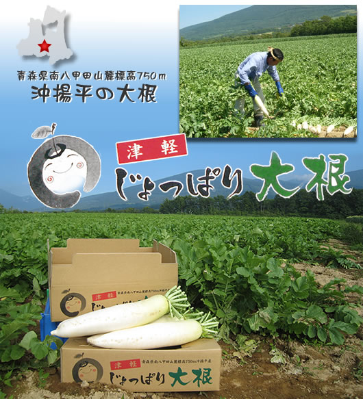 jopparidaikon