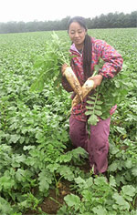 女性マーケティング室長　盛